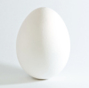 White_chicken_egg_square.jpg